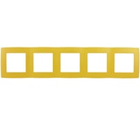 Рамка ЭРА 12-5005-21 на 5 постов, желтый Б0019418