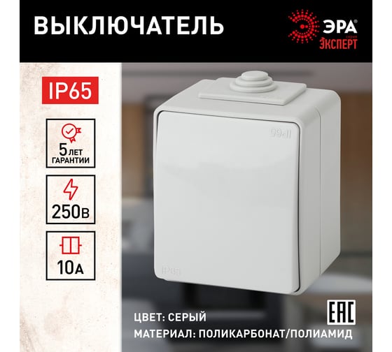 Выключатель ЭРА Эксперт 11160103 IP65, 10АХ250В, ОУ, серый Б0035972