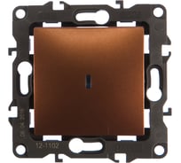 Выключатель с подсветкой ЭРА 12-1102-14 10АХ-250В, IP20, 2, медь Б0019282