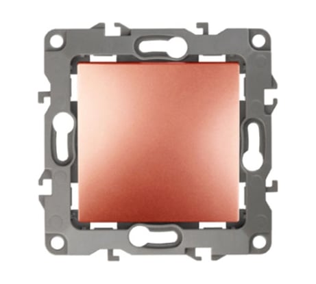 Выключатель ЭРА 12100114 10АХ250В, IP20, без монтажных лапок, медь Б0019274