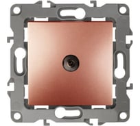 Одиночная TV розетка ЭРА 12310114 IP20, медь, Б0019341