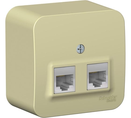 Компьютерная розетка Systeme Electric 2-м ОП Blanca RJ45 кат.5E с изолир. пластиной беж. SE BLNIA045457