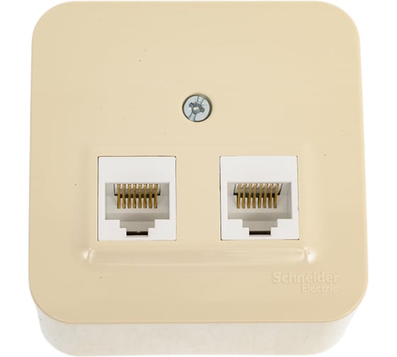 Компьютерная розетка Systeme Electric 2-м ОП Blanca RJ45 кат.5E с изолир. пластиной беж. SE BLNIA045457