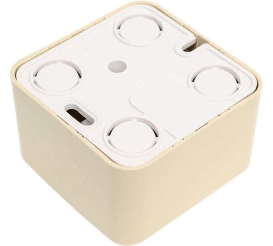 Компьютерная розетка Systeme Electric 2-м ОП Blanca RJ45 кат.5E с изолир. пластиной беж. SE BLNIA045457