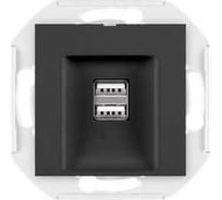 Розетка Aling-Conel PRESTIGE USB-зарядное устройство, двойная 2xUSB А+А 250V/5V 2.1A, механизм, черная soft touch 60161.E1
