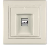 Розетка USB Aling-Conel PRESTIGE тип А, с Keystone модулем, кремовая 6162.99