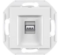Розетка USB Aling-Conel PRESTIGE тип А, с Keystone модулем, механизм, белая 60162.0