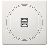 Розетка Aling-Conel EON USB-зарядное устройство, двойная 2xUSB А+А 250V/5V 2.1A, белая E6161.00