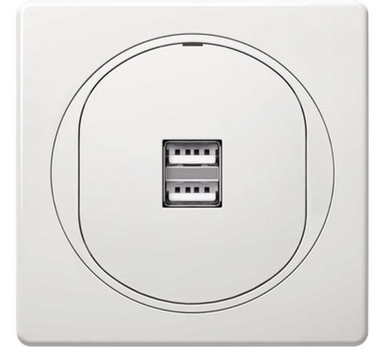 Розетка Aling-Conel EON USB-зарядное устройство, двойная 2xUSB А+А 250V/5V 2.1A, белая E6161.00