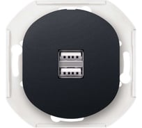 Розетка Aling-Conel EON USB-зарядное устройство, двойная 2xUSB А+А 250V/5V 2.1A, механизм, черная soft touch E6161.E1