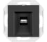 Розетка USB Aling-Conel PRESTIGE тип А, с Keystone модулем, механизм, черная soft touch 60162.E1 1