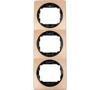 3-местная вертикальная рамка Aling-Conel EON шлифованный никель с черной вставкой E6713.G2E