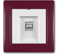 Розетка USB Aling-Conel PRESTIGE тип А, с Keystone модулем, бордо-бордо-белый 6162.330