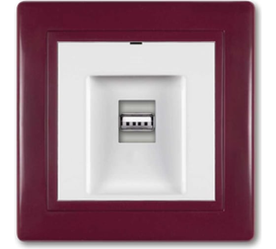Розетка USB Aling-Conel PRESTIGE тип А, с Keystone модулем, бордо-бордо-белый 6162.330 1