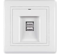 Розетка Aling-Conel PRESTIGE USB-зарядное устройство, двойная 2xUSB А+А 250V/5V 2.1A, белая 6161.00