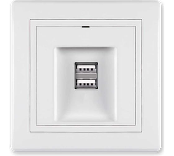 Розетка Aling-Conel PRESTIGE USB-зарядное устройство, двойная 2xUSB А+А 250V/5V 2.1A, белая 6161.00