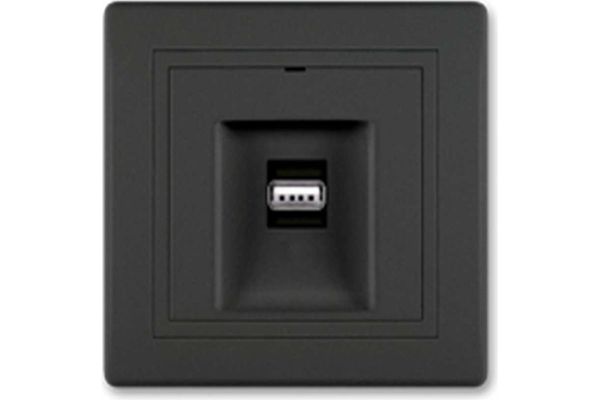 Розетка USB Aling-Conel PRESTIGE тип А, с Keystone модулем, черная soft ...