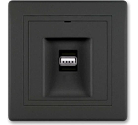 Розетка USB Aling-Conel PRESTIGE тип А, с Keystone модулем, черная soft touch 6162.E1E1 1