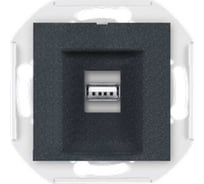 Розетка USB Aling-Conel PRESTIGE тип А, с Keystone модулем, механизм, графитовая 60162.2