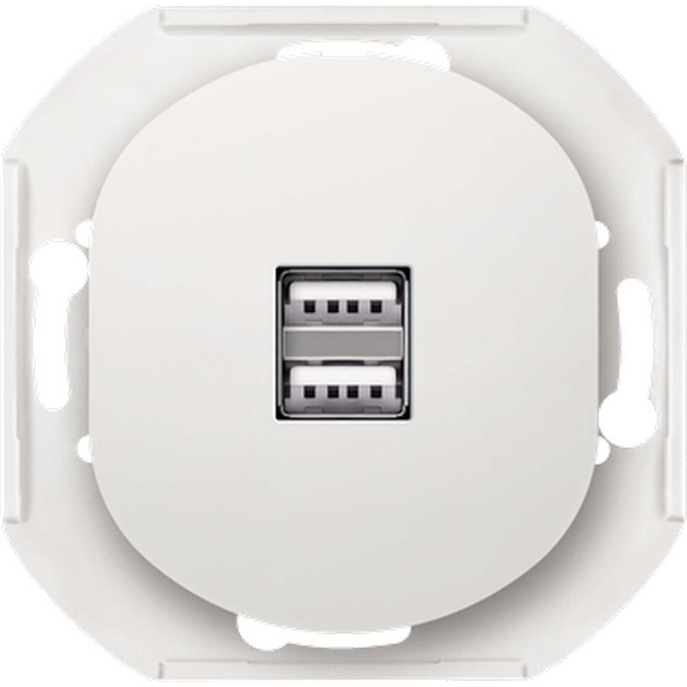 Розетка Aling-Conel EON USB-зарядное устройство, двойная 2xUSB А+А 250V ...