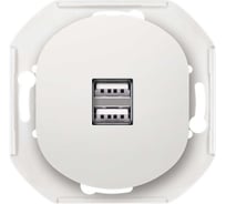 Розетка Aling-Conel EON USB-зарядное устройство, двойная 2xUSB А+А 250V/5V 2.1A, механизм, белая E6161.0