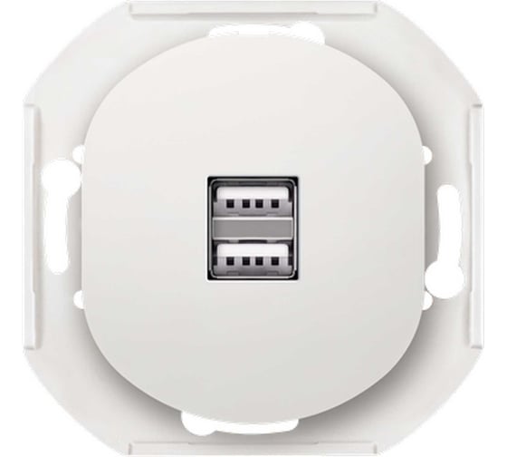 Розетка Aling-Conel EON USB-зарядное устройство, двойная 2xUSB А+А 250V/5V 2.1A, механизм, белая E6161.0 1