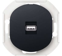 Розетка USB Aling-Conel EON тип А, с Keystone модулем, механизм, черная soft touch E6162.E1