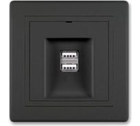 Розетка Aling-Conel PRESTIGE USB-зарядное устройство, двойная 2xUSB А+А 250V/5V 2.1A, черная soft touch 6161.E1E1