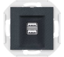 Розетка Aling-Conel PRESTIGE USB-зарядное устройство, двойная 2xUSB А+А 250V/5V 2.1A, механизм, графитовая 60161.2