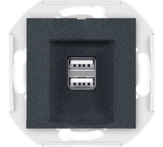 Розетка Aling-Conel PRESTIGE USB-зарядное устройство, двойная 2xUSB А+А 250V/5V 2.1A, механизм, графитовая 60161.2 1