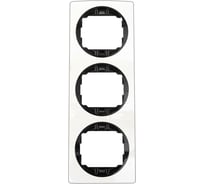 3-местная вертикальная рамка Aling-Conel EON белая с черной вставкой E6713.0E