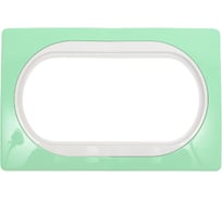 Рамка для двойной розетки Aling-Conel EON пастельно-зеленая с белой вставкой E6805.70