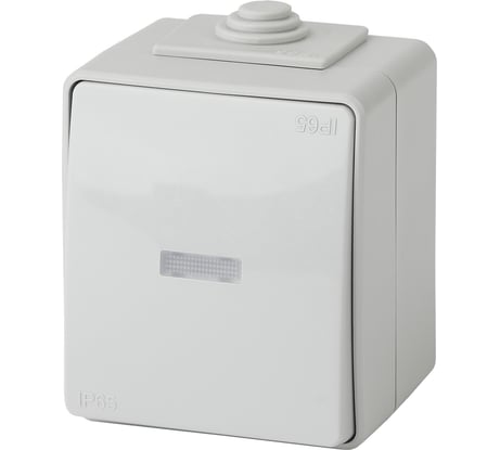 Переключатель ЭРА 11161003 с подсветкой IP65, 10АХ250В, ОУ, Экспер Б0035981