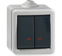 Выключатель Aling-conel ARMOR 2-клавишный с индикацией накладной металлический IP55 10AX 250V серый-графитовый арт. 2821.1A