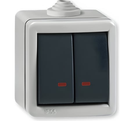 Выключатель Aling-conel ARMOR 2-клавишный с индикацией накладной металлический IP55 10AX 250V серый-графитовый арт. 2821.1A