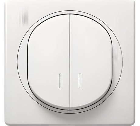 Выключатель Aling-conel EON 2-клавишный с индикацией 10AX 250V белый арт. E626.00