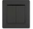 2-клавишный выключатель Aling-conel PRESTIGE 10AX 250V чёрный soft touch арт. 606.E1E1 1