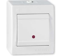 Aling-conel POWER Выключатель 1-клавишный с индикацией накладной IP44 10 AX 250V белый арт. 2511.00