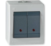 Выключатель Aling-conel POWER 2-клавишный с индикацией накладной IP44 10AX 250V серый-графитовый арт. 2521.1A