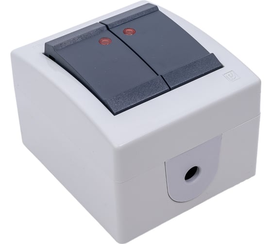 Выключатель Aling-conel POWER 2-клавишный с индикацией накладной IP44 10AX 250V серый-графитовый арт. 2521.1A
