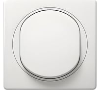 Выключатель Aling-conel EON 1-клавишный однополюсный 10AX 250V белый арт. E605.00