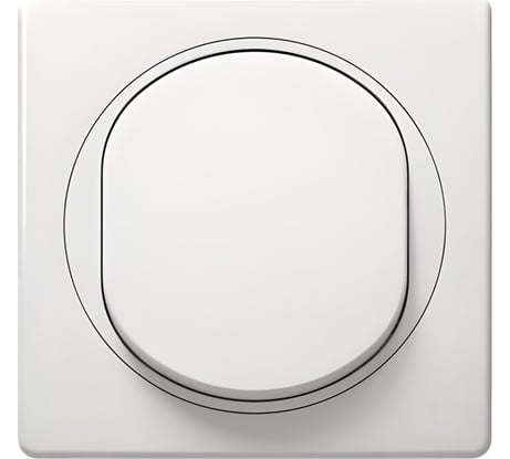 Выключатель Aling-conel EON 1-клавишный однополюсный 10AX 250V белый арт. E605.00