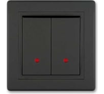 2-клавишный выключатель Aling-conel PRESTIGE с индикацией 10AX 250V чёрный soft touch арт. 626.E1E1