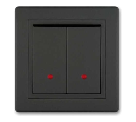 2-клавишный выключатель Aling-conel PRESTIGE с индикацией 10AX 250V чёрный soft touch арт. 626.E1E1 1