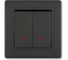 2-клавишный выключатель Aling-conel PRESTIGE с индикацией 10AX 250V чёрный soft touch арт. 626.E1E1 1