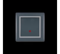 1-клавишный выключатель Aling-conel PRESTIGE с индикацией 10AX 250V графит-серый-графит арт. 625.212