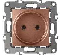 Розетка ЭРА 12210514 2P, 16A, 250В, IP20, Эра12, медь Б0019337