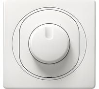 Поворотно-нажимной диммер Aling-conel EON для LED 0-100W белый арт. E6175.00