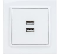 Розетка EKF USB Минск 2-местная, СП 2, 1А, белая ERR-2USB-100