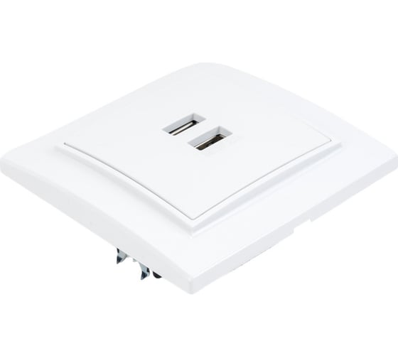 Розетка EKF USB Минск 2-местная, СП 2, 1А, белая ERR-2USB-100